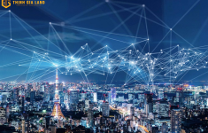 Thị trường cổ phiếu bất động sản